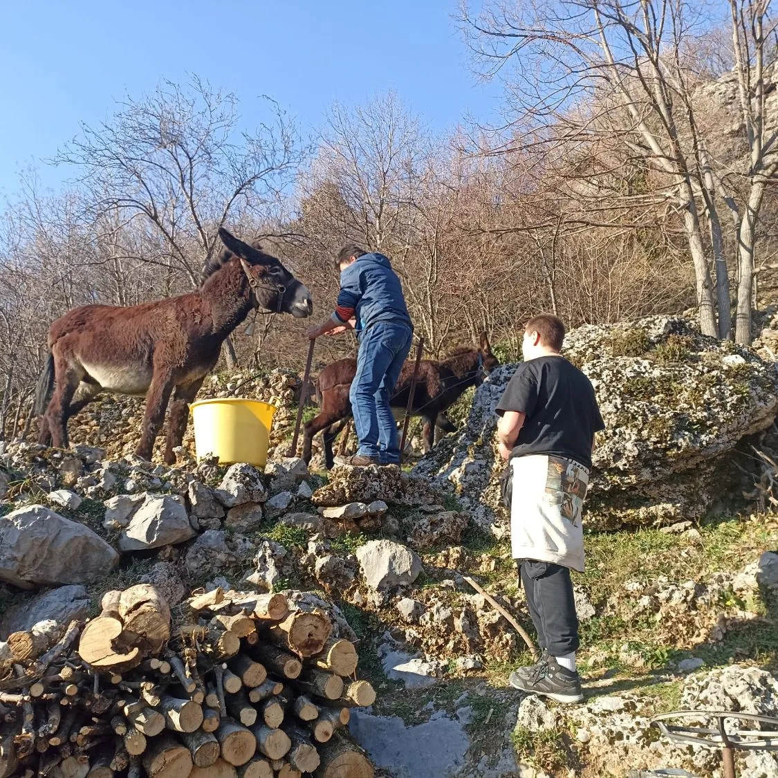 Participants with donkeys on a rocky slope