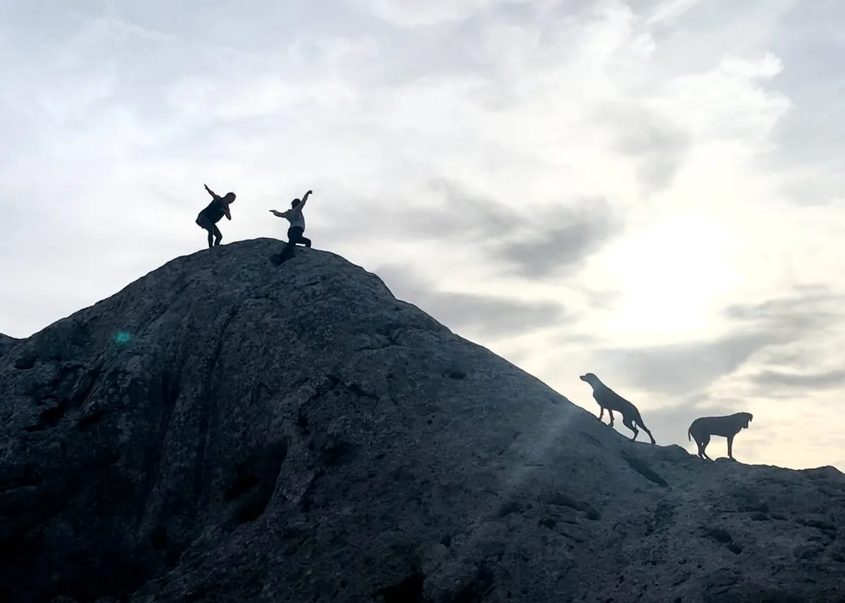 Silhouettes of two participants and two dogs on top of a rock